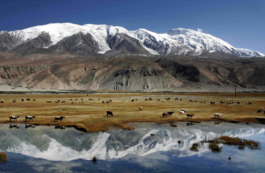 倍頭條 | 拍得銅礦，格局打開！倍杰特業(yè)務(wù)新布局