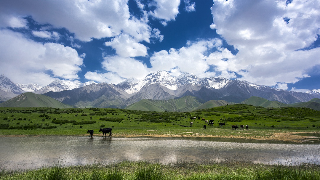 倍頭條 | 一周內(nèi)倍杰特成功競得兩處銅礦！